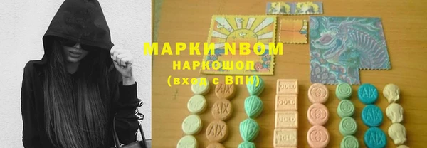 ГАЛЛЮЦИНОГЕННЫЕ ГРИБЫ Осинники