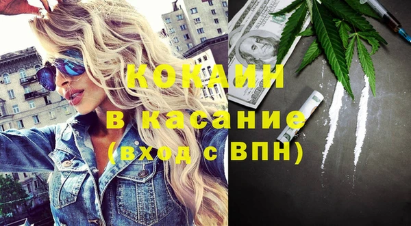 ГАЛЛЮЦИНОГЕННЫЕ ГРИБЫ Осинники