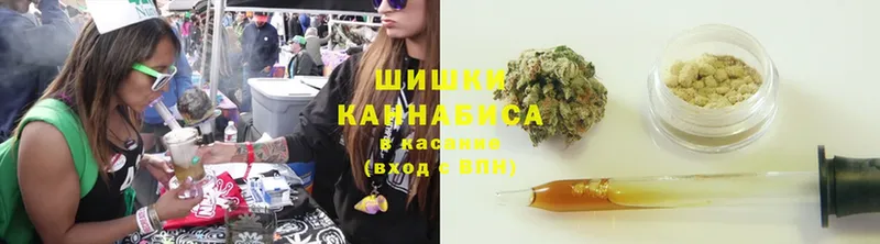 Каннабис White Widow  Щёкино 